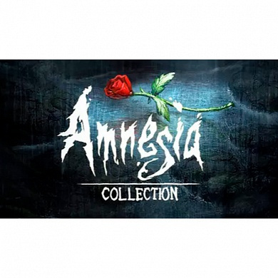   Amnesia Collection