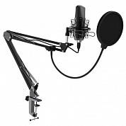 Стриминговый микрофон Ritmix RDM-169