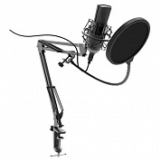 Стриминговый микрофон Ritmix RDM-180