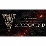   The Elder Scrolls Online: Tamriel Unlimited + Morrowind