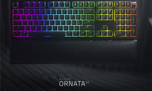   Ornata V2   Razer