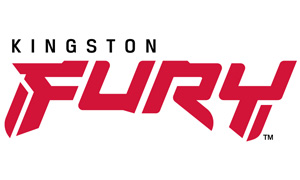 Kingston         Kingston FURY