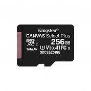   Kingston SDCS2/256GBSP Class 10 256GB  