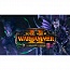 ���� ���� Total War: WARHAMMER II - The Shadow & The Blade