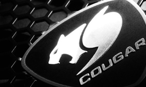 Новые девайсы от компании Cougar