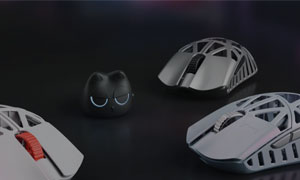 Beast X в миниатюрном размере от компании WLMouse
