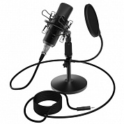 Стриминговый микрофон Ritmix RDM-175